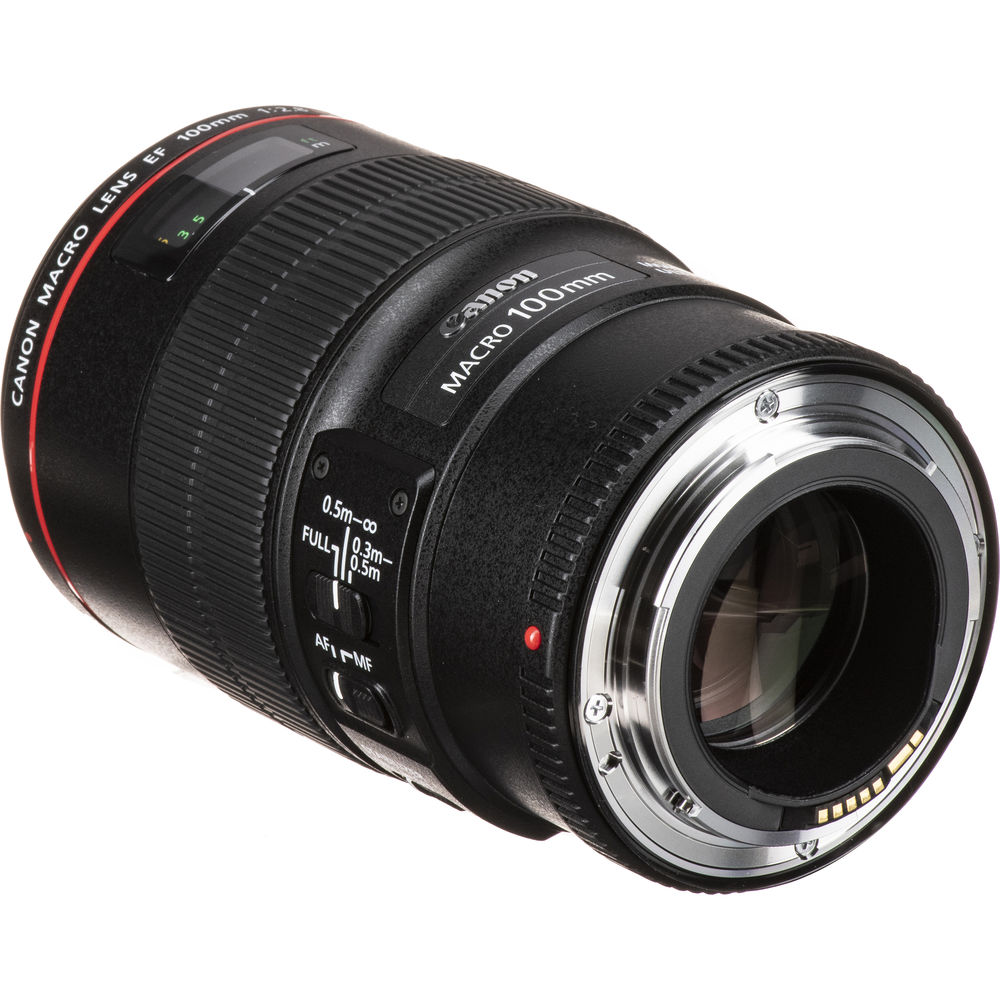 Canon EF 100mm f/2.8L Macro IS USM Lens - PixelMax